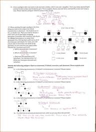 Here we answer haldane's question in an effort to improve the public understanding of human biological. Human Genetics Quiz Answer Key Ebooks And Journals