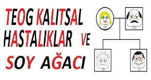 Kalitsal Hastaliklar Soy Agaci Soru Cozumu 10dk Herkes Matematik Ogrenebilir