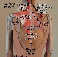 Pin On Ot Always Functional