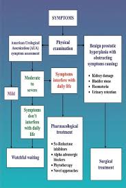 Benign Prostatic Hyperplasia An Overview Of Existing Treatment Dhingra N Bhagwat D Indian J Pharmacol