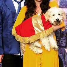 Other Dog Costume Beauty And The Beast Footstool Poshmark
