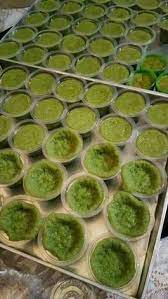 Resep Srikaya Pandan Santan Palembang Oleh Melisa Recipe Kota Palembang Makanan Dan Minuman Ide Makanan
