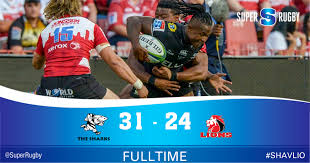 Watch from anywhere online and free. Lions Slip At Sharks Come Back Sanzar