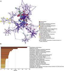 S'ils n'existaient pas, les salari�s auraient simplement la m�me r�mun�ration annuelle, mais cette loi ne remettra pas en cause les cong�s pay�s, mais elle donnera les pleins pouvoirs aux embaucheurs d'embaucher qui ils veulent monnayant le. Expression Clinical Significance And Functional Prediction Of Mnx1 In Breast Cancer Molecular Therapy Nucleic Acids