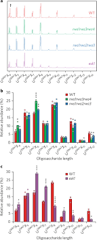 Xylan in plant cell wall. An Even Pattern Of Xylan Substitution Is Critical For Interaction With Cellulose In Plant Cell Walls Nature Plants