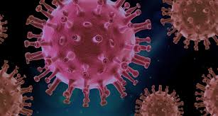 Immune Response To Covid 19 S Spike Protein The Secret To A Successful Vaccine