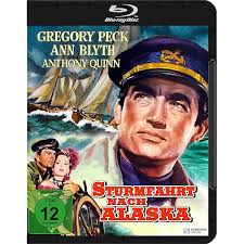 Große U-Boot Box Spielfilme 2 DVDs: Amazon.co.uk: Whitman, Stuart, Askin,  Leon, Ford, Glenn, Vaughn, Robert, O'Connor, Renee, Bostwick, Barry,  Meadows, Michelle, Cagnard, James, Holubar, Allen, Benton, Curtis: DVD &  Blu-ray