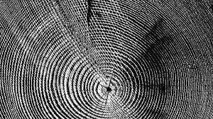 Verwenden sie messingbürsten für die schonende reinigung weicher materialien der messingfaden ist wesentlich flexibler als der stahlfaden nylonbürsten halten. Holz Bursten Und Strukturieren Baubeaver