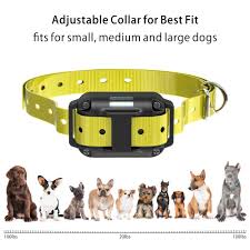 Some collars are going to do most of the work for trainers, so setting it up correctly is essential. Best Dog Training Collar For Large Dogs Off 78 Www Usushimd Com