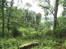 Reichen sie urlaub ein vom do, 01.05.2014 bis so, 04.05.2014, und sie erhalten durch einen urlaubstag insgesamt 4 freie tage. Das Pfingstunwetter Von 2014 So Sieht Es 2019 Aus Wetter De