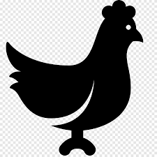 Silkie Guineafowl Orange Chicken Computer Icons الدجاج كغذاء دجاج مضحك الآخرين الدجاج Png Pngegg