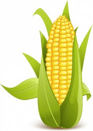 Free Free 241 Sweet Corn Svg SVG PNG EPS DXF File