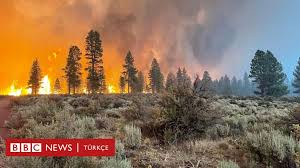 Jul 28, 2021 · kozan'da şiddetli rüzgar etkisini sürdürürken ikinci kez orman yangını çıktı. Oregon Bootleg Yangini Abd De Devam Eden En Buyuk Orman Yangininda 300 Bin Donumden Buyuk Alan Kul Oldu Bbc News Turkce