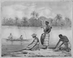 Check spelling or type a new query. The Social Universe Of The Colombian Black Pacific Part I Freedom S Captives