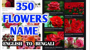 We did not find results for: All Flowers Name Bengali English All Flowers Name Floewrs Name à¦« à¦² à¦° à¦¨ à¦® à¦‡ à¦° à¦œ à¦¥ à¦• à¦¬ à¦² Youtube