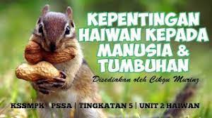 Haiwan membantu manusia membuat kerja. Kssmpk Pssa Tingkatan 5 Unit 2 Haiwan Kepentingan Haiwan Kepada Manusia Dan Tumbuhan Youtube