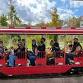 Pack the Ark @ Turtleback Zoo event image