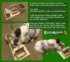 Treat Box Diy Bunny Rabbit Toys That Are Cheap And Easy To Make Awesome For All Sorts Of Small Animals Bunny Approved D Diy Bunny Toys Pet Bunny Bunny Care