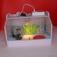 Chick Brooding Incubator Baby Bird Quail Parrot Hedgehog Rearing Crawling Pets Keeping Warm In Winter Buy Chick Brooding Incubator Incubators For Sale Poultry Brooder Product On Alibaba Com