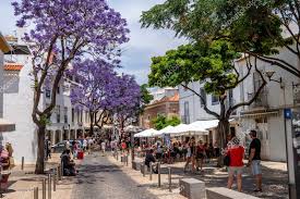 Goodtimes guides are passionate about travel, new experiences, discovering great places and sharing them with others. Lagos Portugal Jun 18 2018 In A Typical Alley Town Of Lagos Page