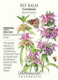 Pin On Herbs