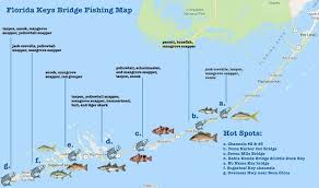 Best Florida Keys Bridge Fishing Spots All You Need To Know