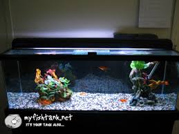 But in bedroom, what we want to get is peaceful. Revealed The Secrets Of Feng Shui For Aquariums And Fish Tanks