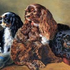 Maybe you would like to learn more about one of these? Other Colored Cavalier King Charles Spaniels Home Facebook
