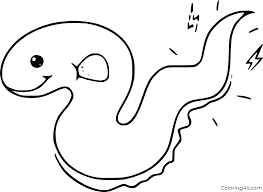 Silhouette warning signs for dangers in sea, ocean, beach and rivers. Eel Coloring Pages Coloringall
