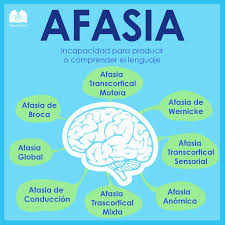 Pin En Infografias Psicologia Educacion Y Neurociencias