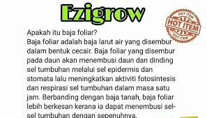 Guna #bajaezigrow untuk rawat pokok lada di rumah | baja foliar ezigrow video ini menunjukkan hasil penggunaan baja. Mini Stokis Baja Ezigrow Sarawak Home Facebook