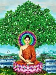 She'd have to be blind not to have noticed the it guy bill checking out her perfect feet all week long. Thuy Vy Buddha Image Buddha Artwork Buddha Art Painting