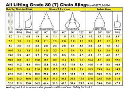 All Lifting 2 Legs Chain Sling With Self Locking Hooks Grade
