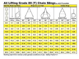 All Lifting 2 Legs Chain Sling With Self Locking Hooks Grade