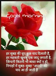 Pin By Purvi Agrawal On Good Morning Good Night Good Morning Flowers Good Morning Flowers Rose Good Morning Roses