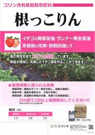 コリン含有葉面散布剤のご紹介 茨城生科研 Agri Worｌｄ