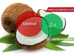 Fruits Vocabulary With Urdu Hindi Pictures Vocabulary In Urdu Fruits Names With Pictures Fruits Fruits Name With Picture English Vocabulary Esl Vocabulary