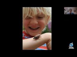 Housing and Schools -- Organic Land and Structural Pest Management