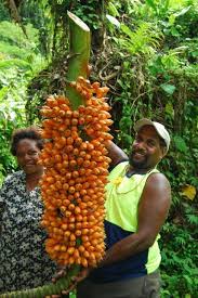 Pin On Frutas Extranas Del Mundo