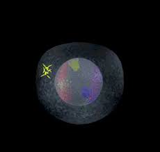 Maybe you would like to learn more about one of these? Interactive Meiosis