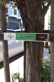 I Am The Lorax I Speak For The Trees Original Urban Forest I Am The Lorax I Speak For The Trees For The Trees That Have No Tongues Dr Urban Forest Beautiful Nature Environmental Graphics
