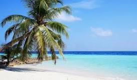 Vaizdo rezultatas pagal užklausą „top islands to holidays“