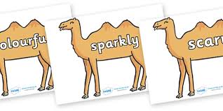 Please watch video in a high resolution. Wow Words On Camels Teacher Made