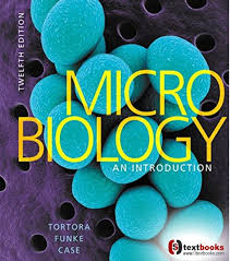 Alberts Molecular Biology Of The Cell 6th Edition Pdf Pin On Life Sciences Pdf Hardcover Paperback Textbooks