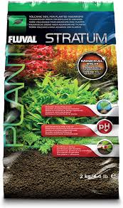 We did not find results for: Amazon Com Fluval Plant And Shrimp Stratum For Fish Tanks 4 4 Lbs 12693 Pet Supplies