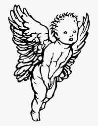 Angel, drawing angel, baby angel, child, face png. Cherub Angel Drawing Hd Png Download Kindpng