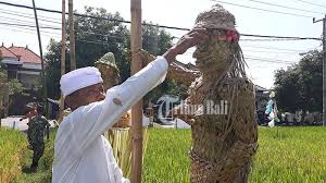 Pohon kelapa yaitu pohon yang memiliki banyak. Lelakut Unik Dari Daun Kelapa Dianyam Tiga Hari Dengan Teknik Anyaman Rumit Halaman 2 Tribun Bali