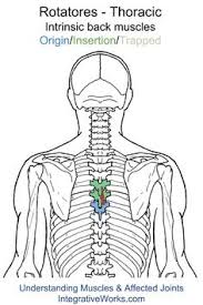 Pin On Trigger Points
