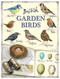 Details About New 15x20cm British Garden Birds Robin Wren Retro Small Metal Wall Chart Sign