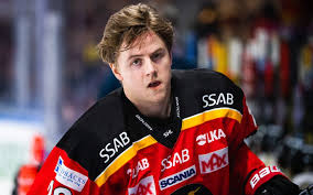 Maybe you would like to learn more about one of these? Lulea Redogor Kring Laget I Truppen Magasinethockey Se